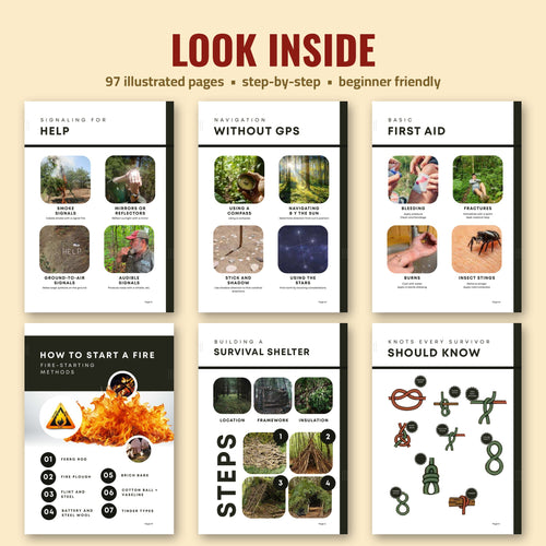 Essential Survival Skills Guide